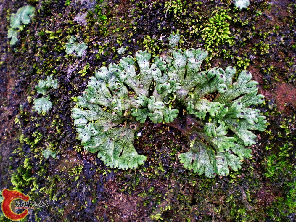 DSCN3117.jpg