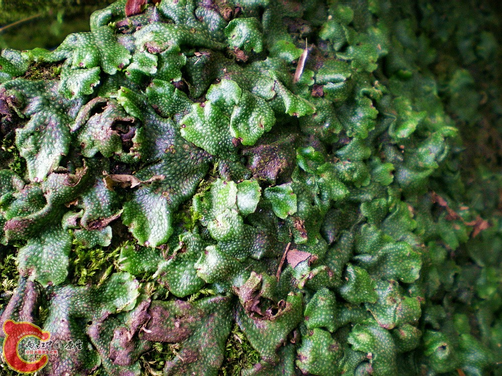 DSCN3124.jpg