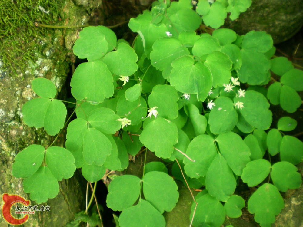 DSCN3128.jpg