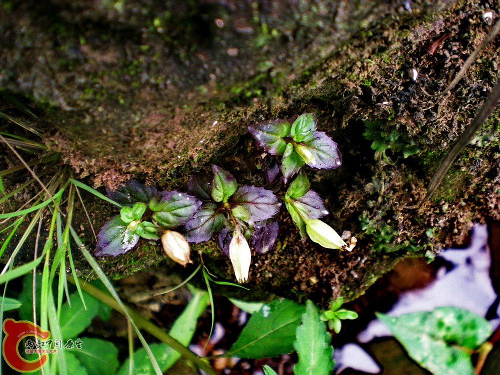 DSCN3149.jpg