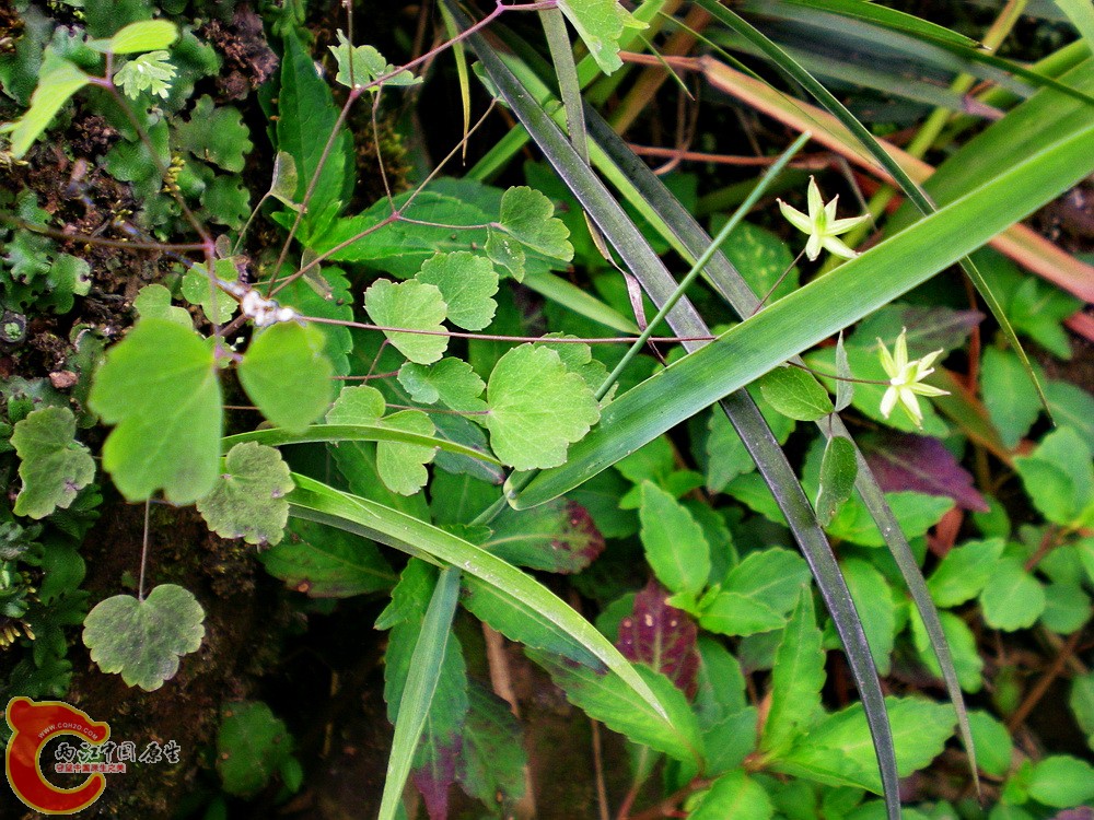 DSCN3150.jpg