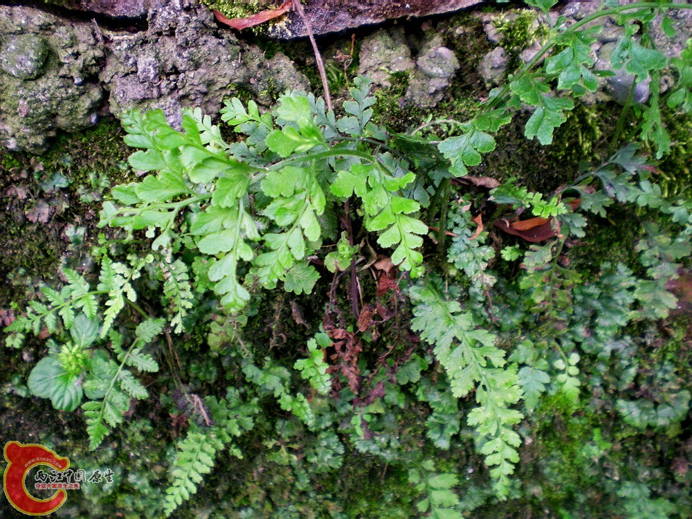 DSCN3156.jpg