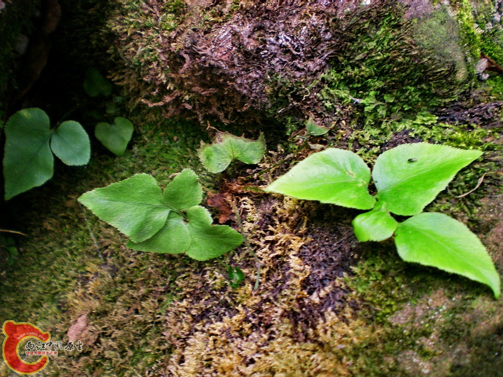 DSCN3159.jpg