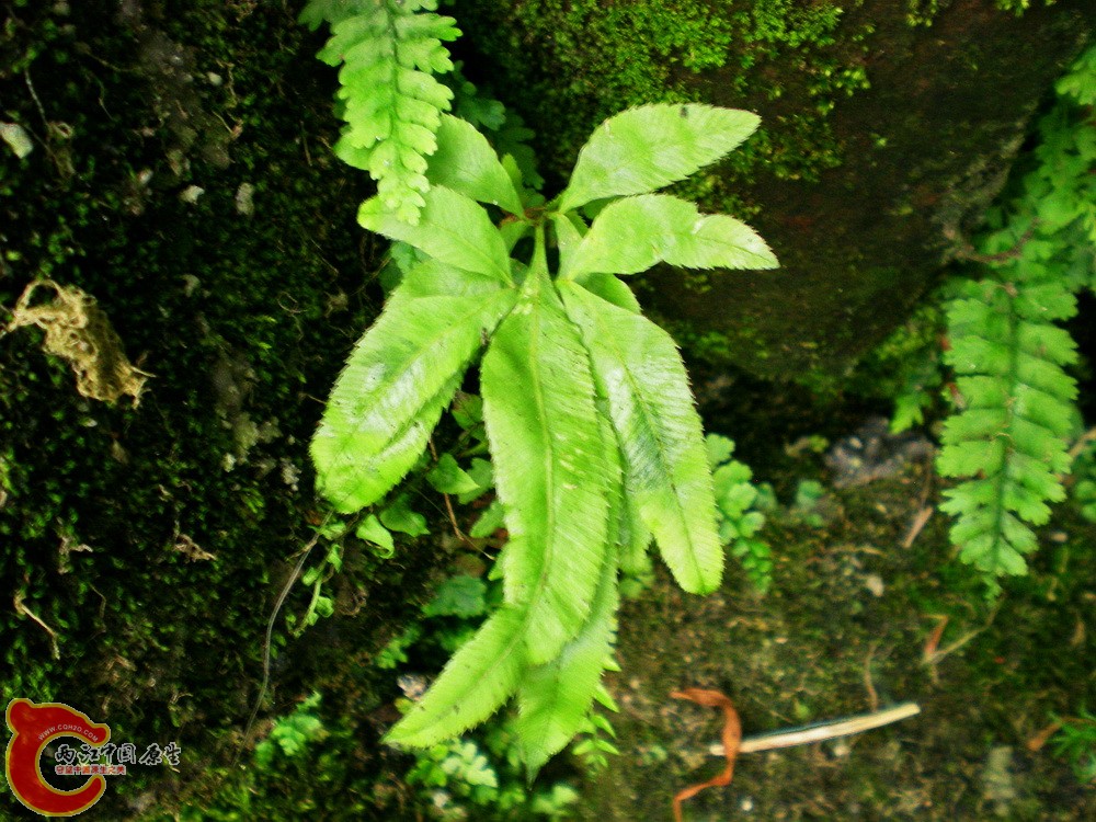 DSCN3161.jpg