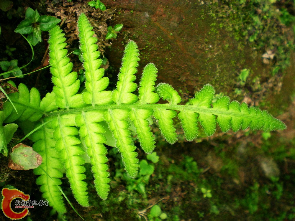 DSCN3163.jpg