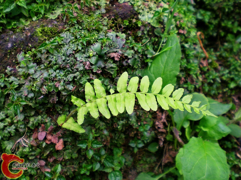 DSCN3164.jpg