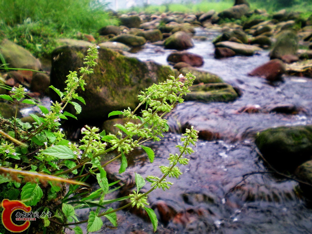 DSCN3145.jpg