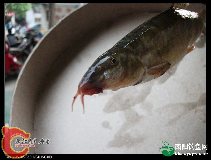 1105090926cbe9cef2279fee8c.jpg