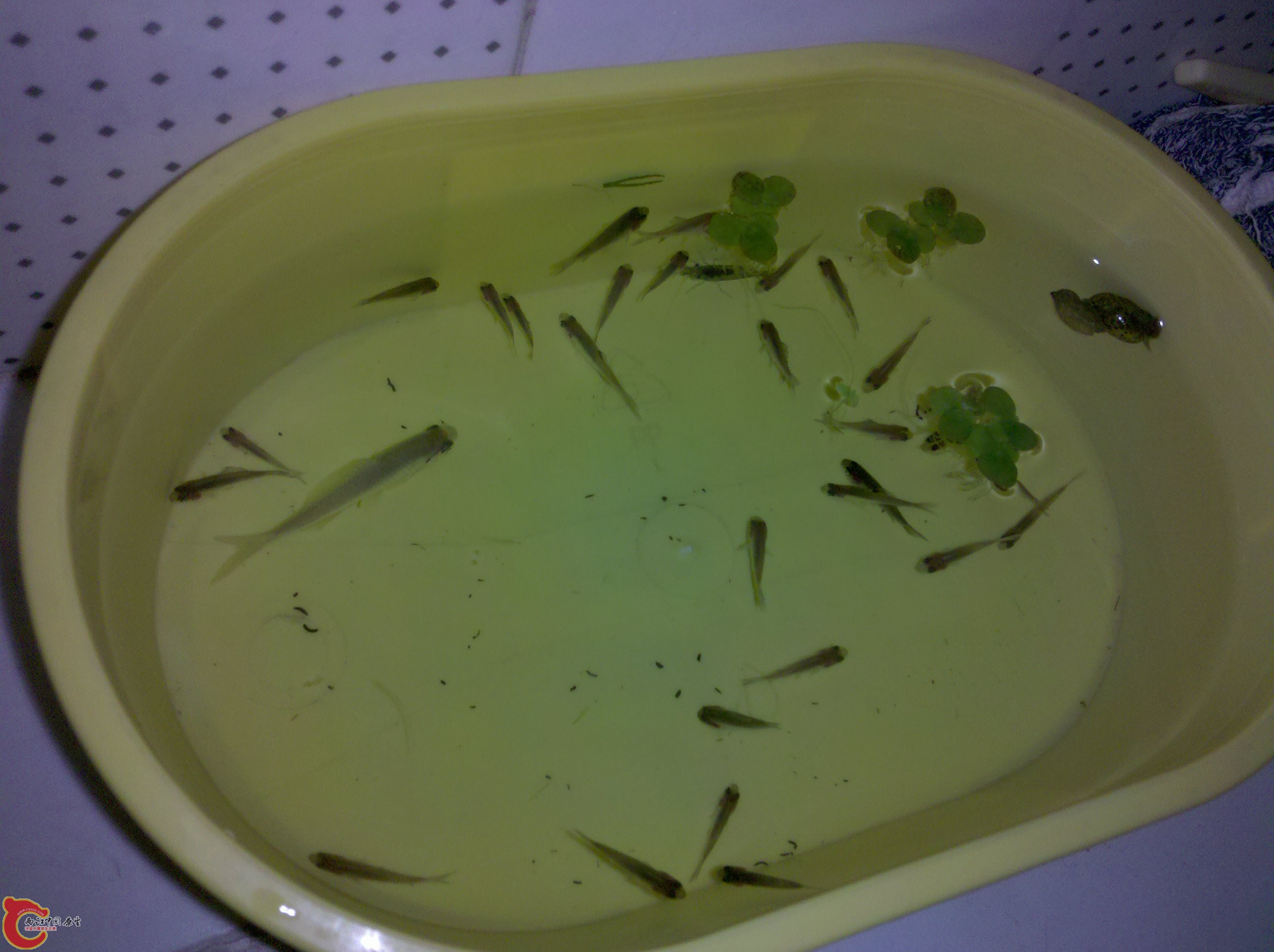 2011-05-10_19-18-50_19.jpg