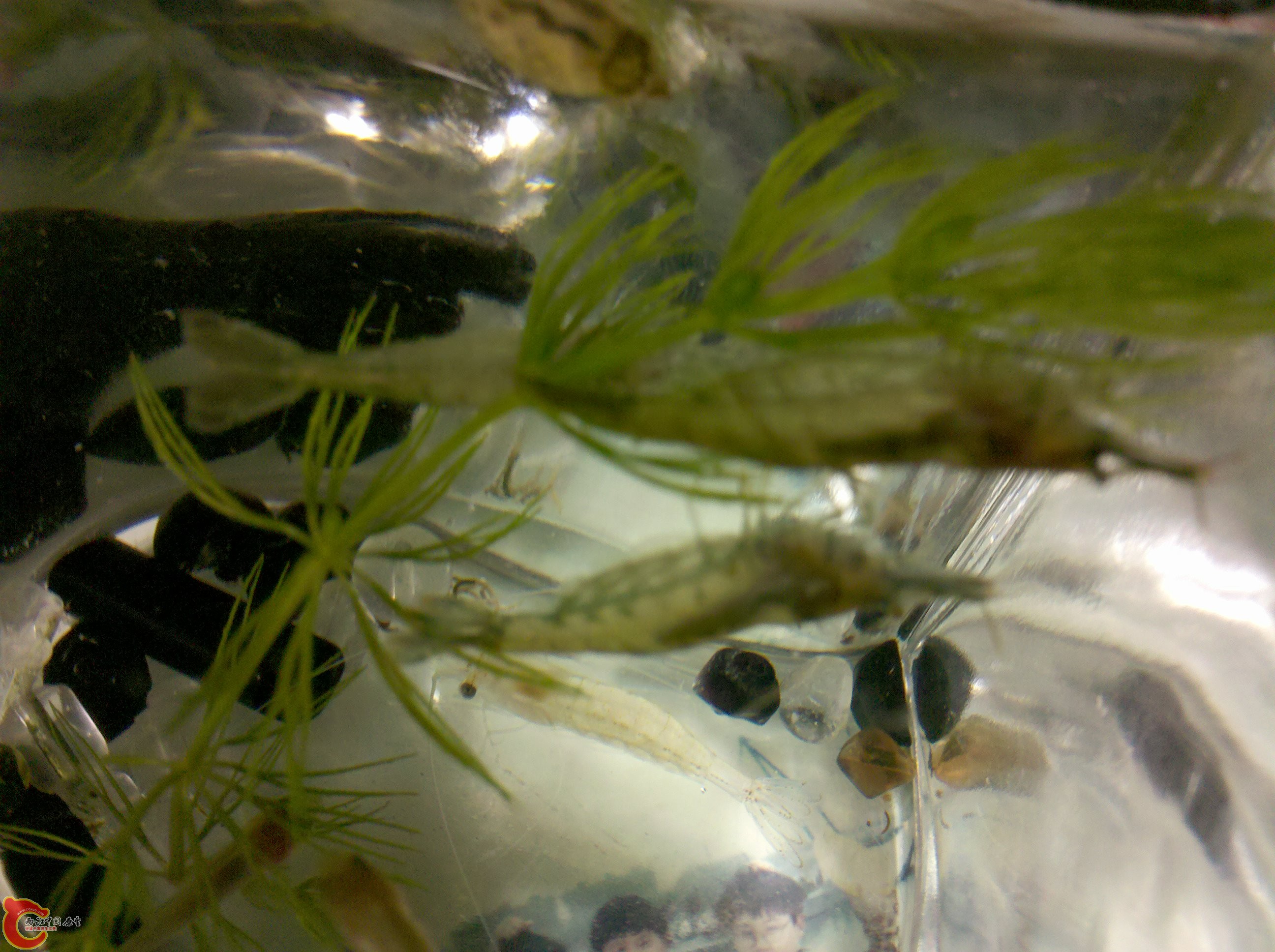 2011-05-10_19-17-44_876.jpg