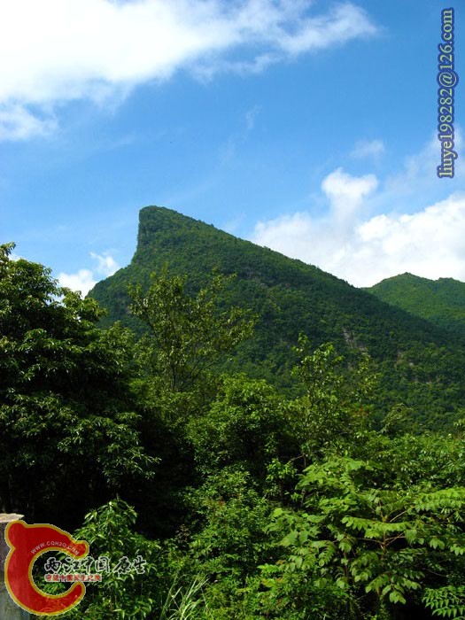 IMG (41).jpg