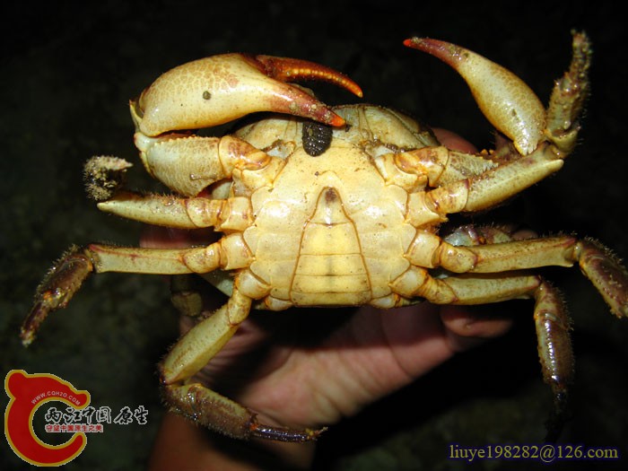 IMG (470).jpg
