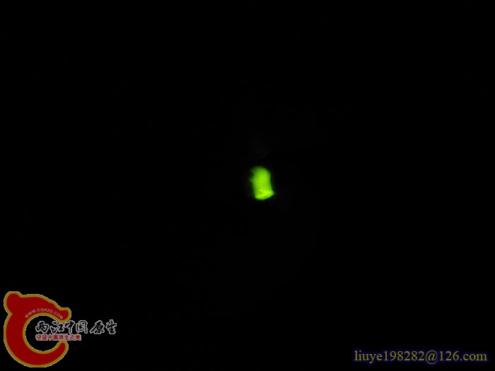 IMG (473).jpg