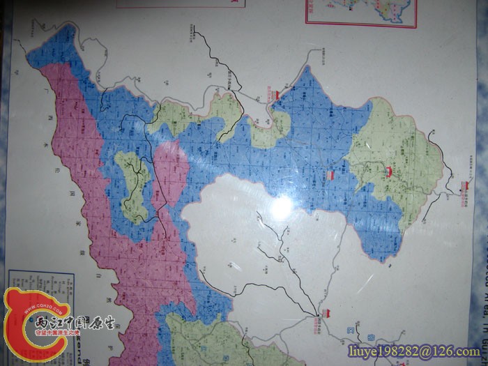 IMG (502).jpg