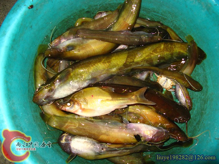 IMG (912).jpg