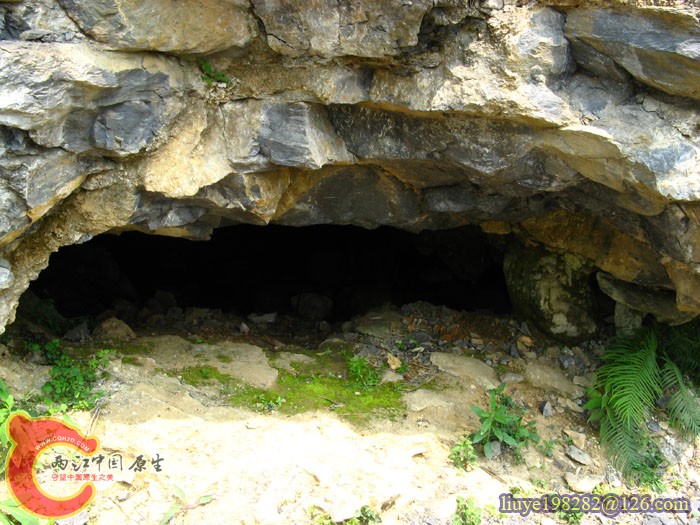 IMG (942).jpg