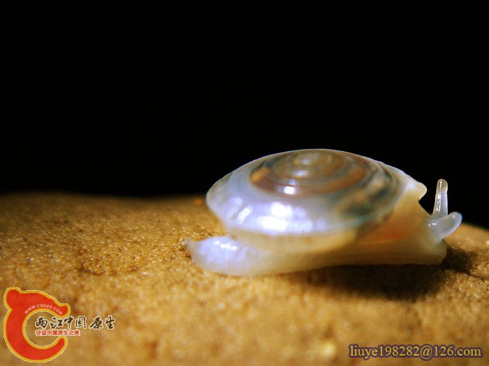 IMG (1075).jpg
