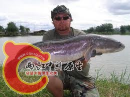 未命名2.jpg