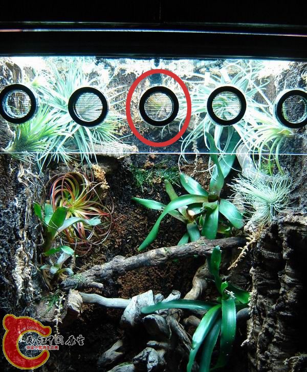 调整大小 DSC09336.jpg.jpg