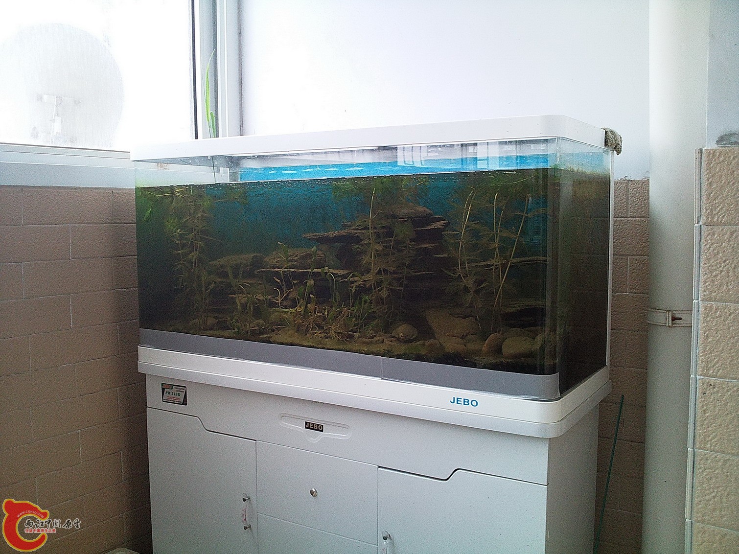 03_缩小大小.jpg
