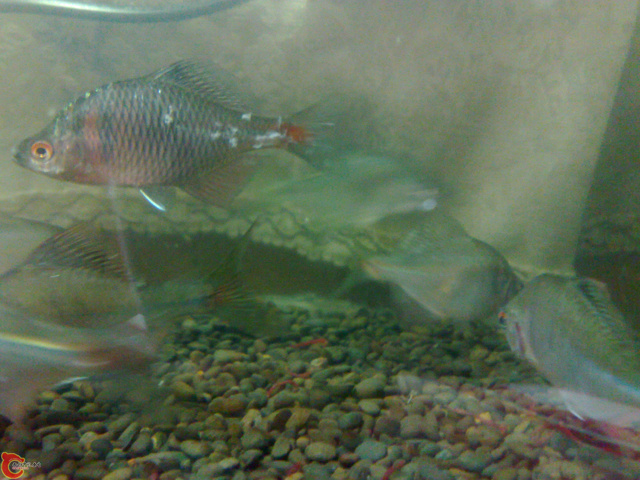 201105131864.jpg
