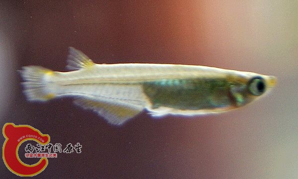 DSC00808.jpg