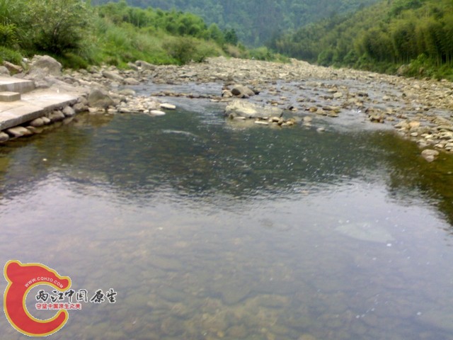 20110514015.jpg