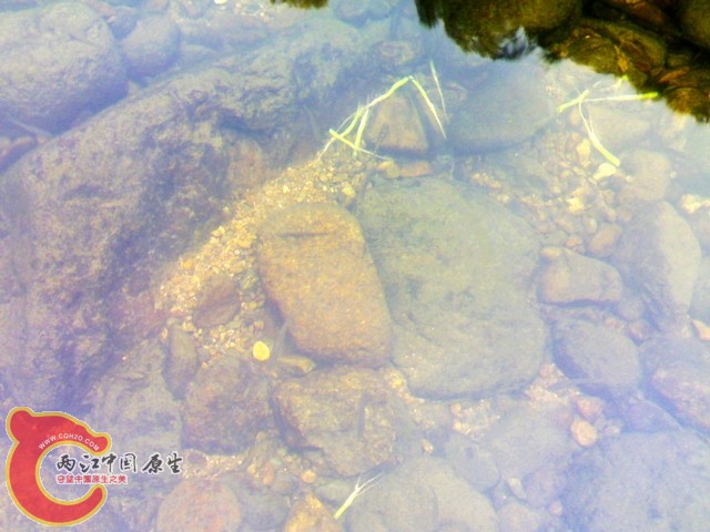 20110514005.jpg
