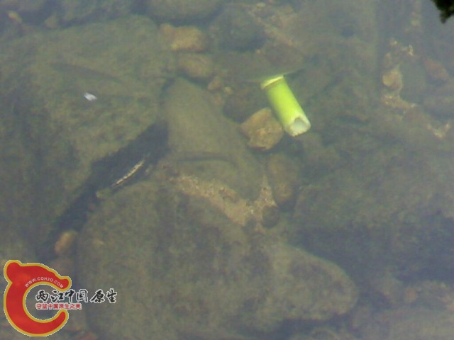 20110514007.jpg