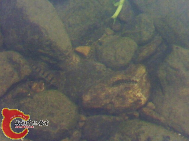 20110514008.jpg