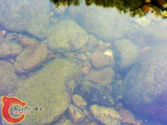 20110514011.jpg