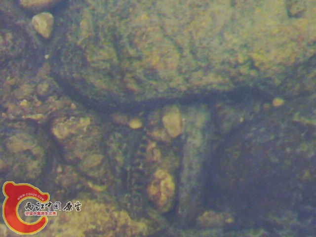 20110514013.jpg