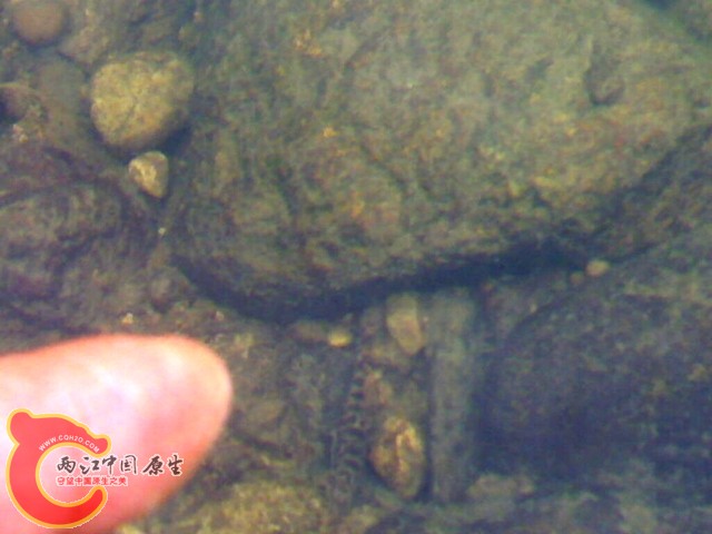 20110514014.jpg