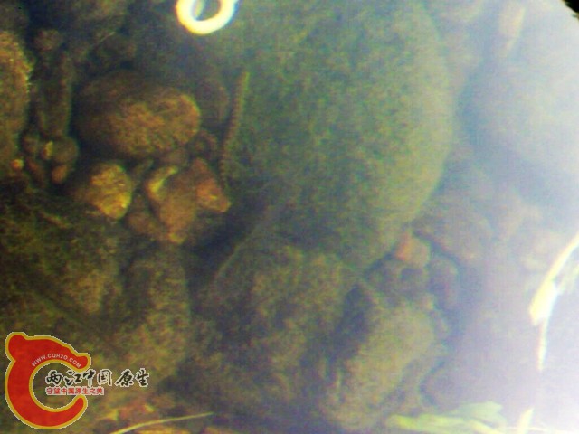 20110514017.jpg