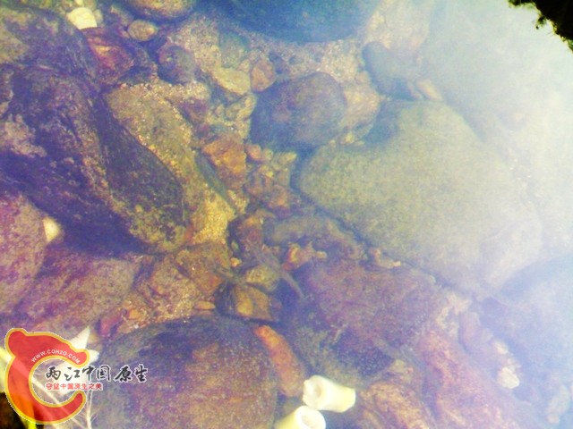 20110514018.jpg