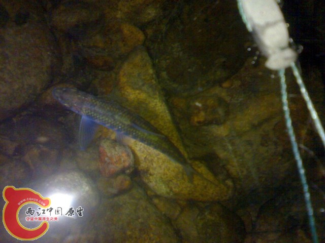 20110514020.jpg