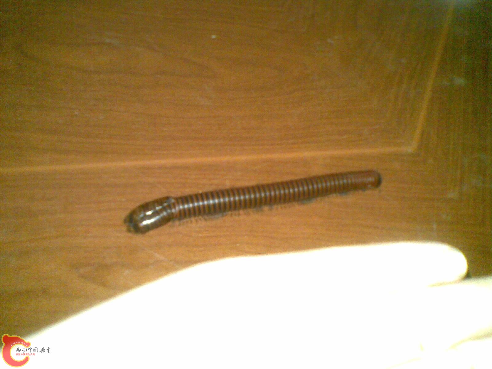 20110514_002.jpg