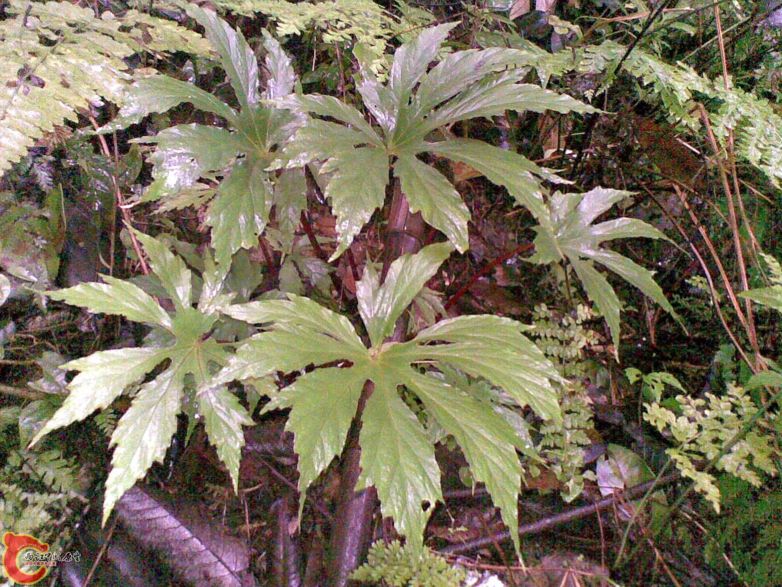 20110515_004.jpg