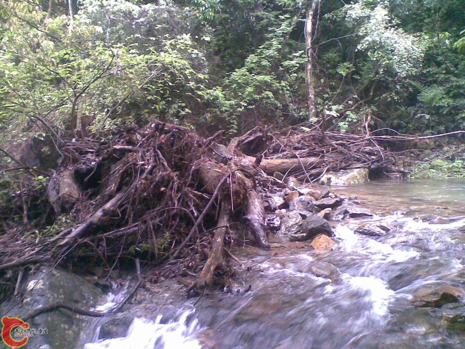 20110515_020.jpg