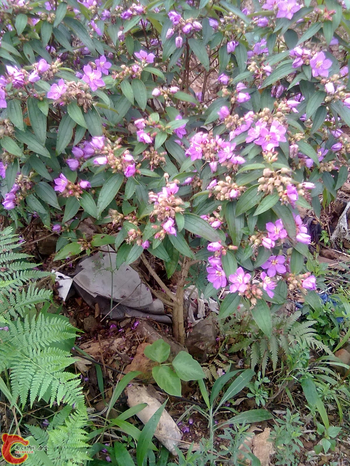 照片 004.jpg