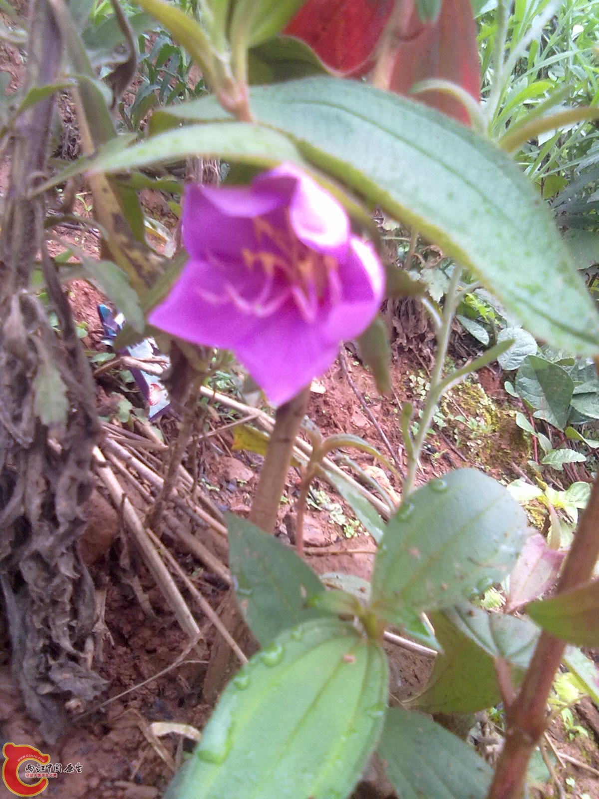 照片 027.jpg