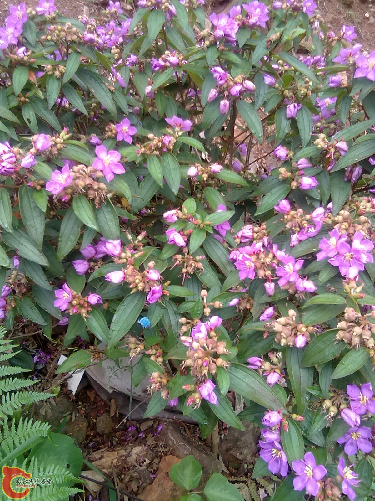 照片 035.jpg
