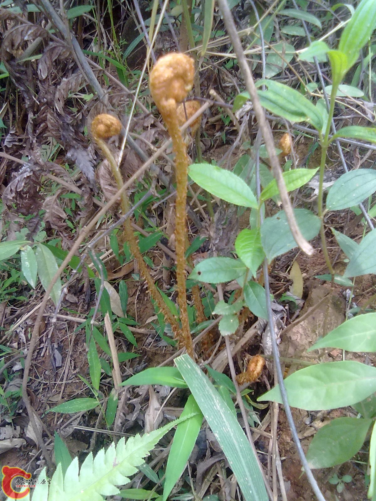照片 041.jpg