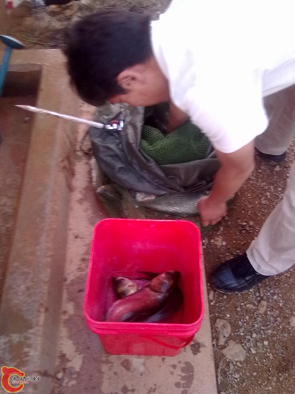 照片 059.jpg