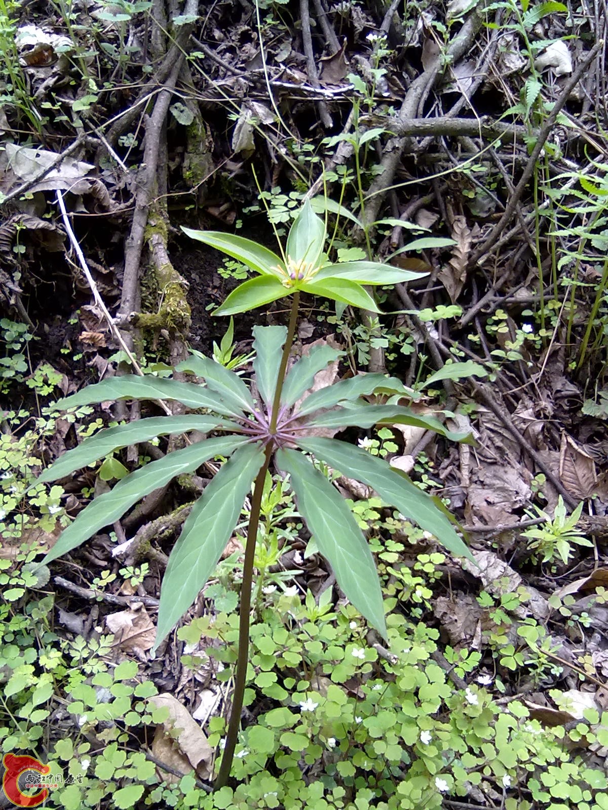 20100507104.jpg