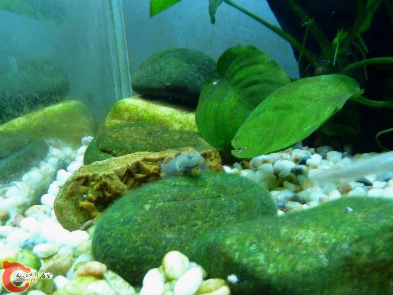 调整大小 调整大小 P1030022.JPG