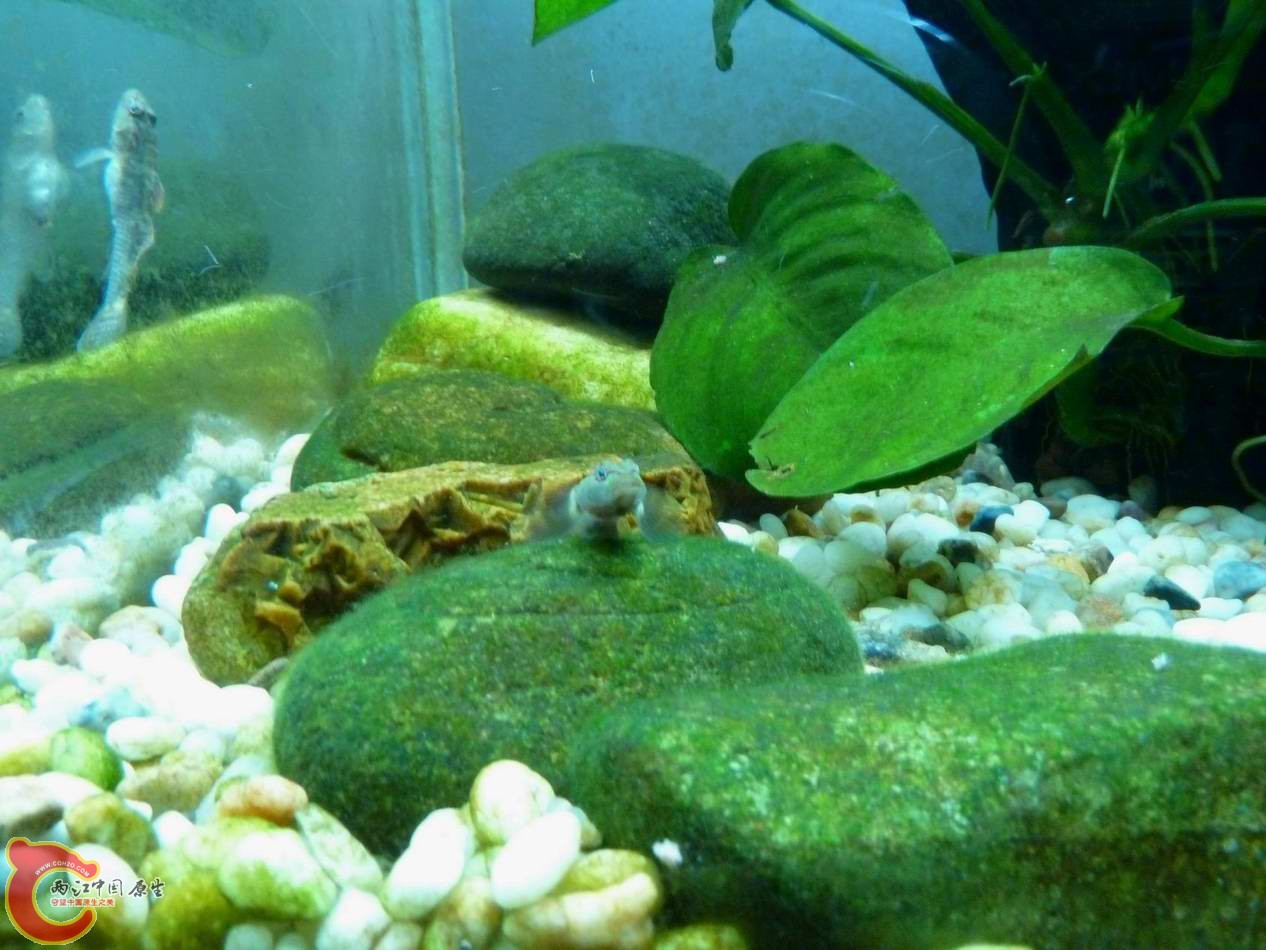 调整大小 调整大小 P1030023.JPG