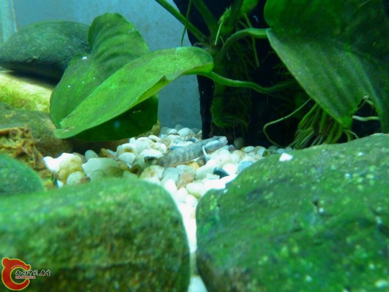 调整大小 调整大小 P1030030.JPG