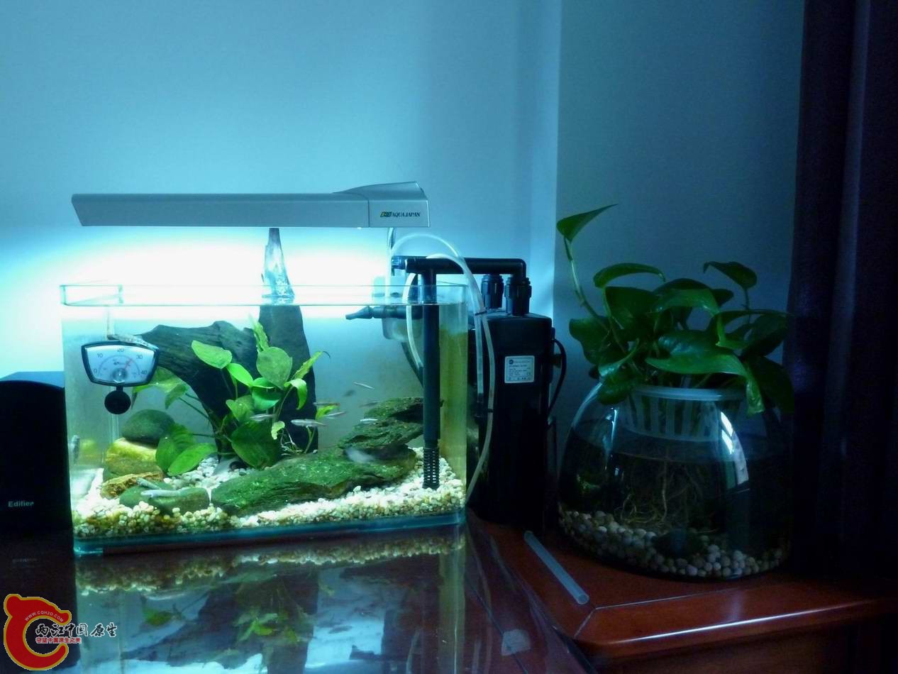 调整大小 调整大小 P1030039.JPG