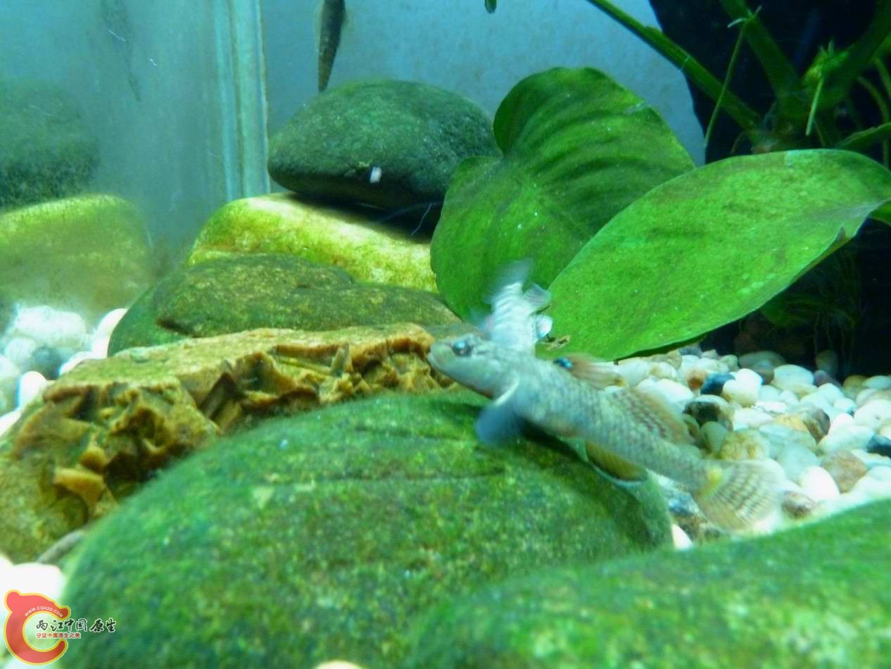 调整大小 调整大小 P1030044.JPG